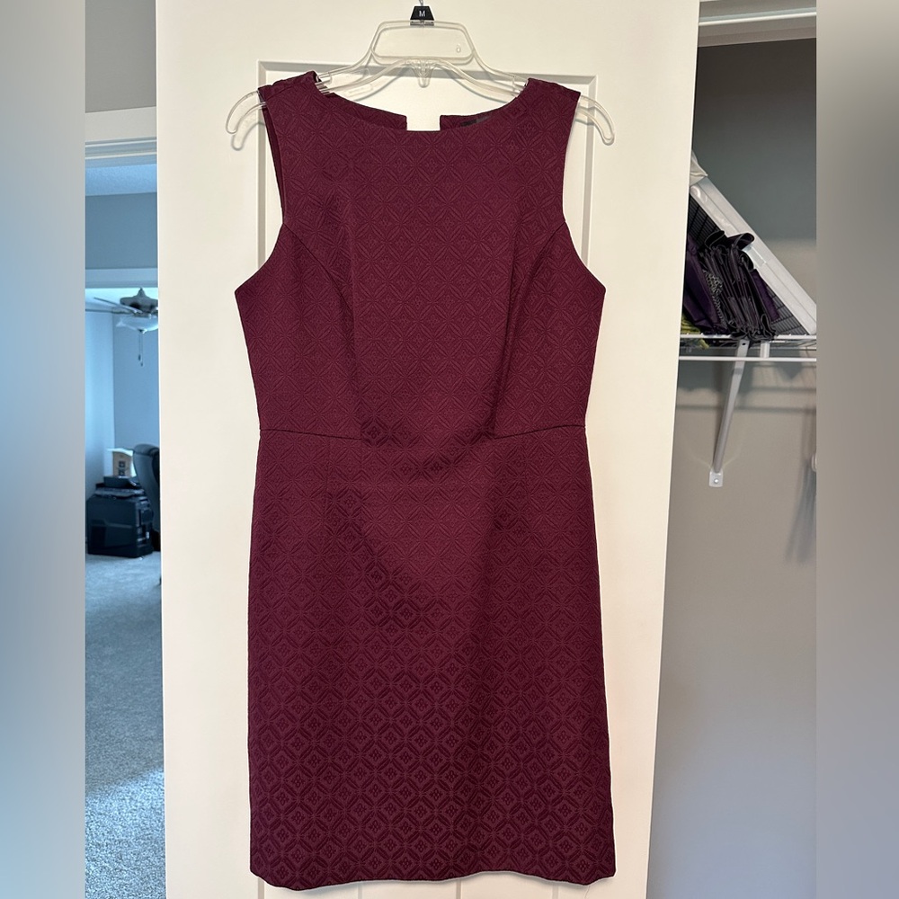 Women’s Size 6 Maroon The Limited Dress